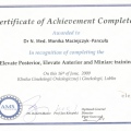 Powiększ obraz: certificate 27