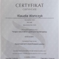 Powiększ obraz: certificate 13