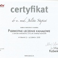 Powiększ obraz: certificate 13