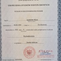 Powiększ obraz: certificate 7