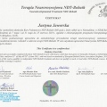 Powiększ obraz: certificate 1