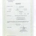 Powiększ obraz: certificate 7