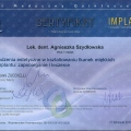 Powiększ obraz: certificate 3