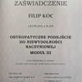 Powiększ obraz: certificate 7