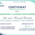 Powiększ obraz: certificate 2