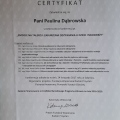 Powiększ obraz: certificate 19