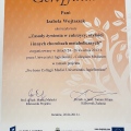 Powiększ obraz: certificate 17