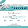 Powiększ obraz: certificate 12