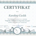 Powiększ obraz: certificate 3