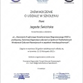 Powiększ obraz: certificate 1