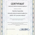 Powiększ obraz: certificate 1
