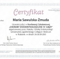Powiększ obraz: certificate 22