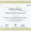 Powiększ obraz: certificate 2