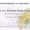 Powiększ obraz: certificate 9