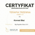 Powiększ obraz: certificate 25