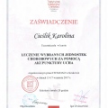 Powiększ obraz: certificate 17