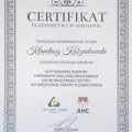 Powiększ obraz: certificate 5
