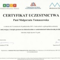 Powiększ obraz: certificate 1