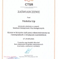 Powiększ obraz: certificate 5