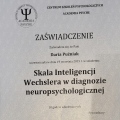 Powiększ obraz: certificate 17