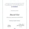 Powiększ obraz: certificate 4
