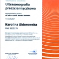 Powiększ obraz: certificate 1