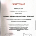 Powiększ obraz: certificate 1