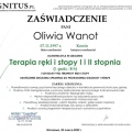 Powiększ obraz: certificate 22