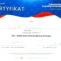 Powiększ obraz: certificate 12