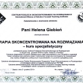 Powiększ obraz: certificate 2
