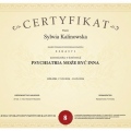 Powiększ obraz: certificate 10