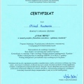 Powiększ obraz: certificate 8