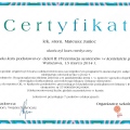 Powiększ obraz: certificate 6