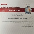 Powiększ obraz: certificate 10
