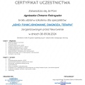Powiększ obraz: certificate 1