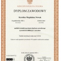 Powiększ obraz: certificate 4