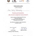Powiększ obraz: certificate 5