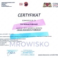 Powiększ obraz: certificate 3