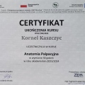 Powiększ obraz: certificate 5