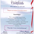 Powiększ obraz: certificate 1