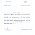 Powiększ obraz: certificate 8