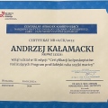 Powiększ obraz: certificate 50