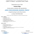 Powiększ obraz: certificate 9
