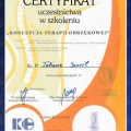 Powiększ obraz: certificate 4