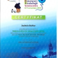 Powiększ obraz: certificate 5