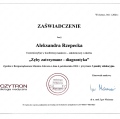Powiększ obraz: certificate 9