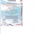 Powiększ obraz: certificate 5