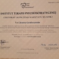Powiększ obraz: certificate 2