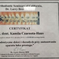 Powiększ obraz: certificate 5