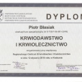 Powiększ obraz: certificate 117